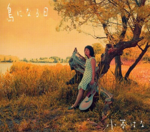 鳥人間 11 東北大学 名言集 ニコニコ動画