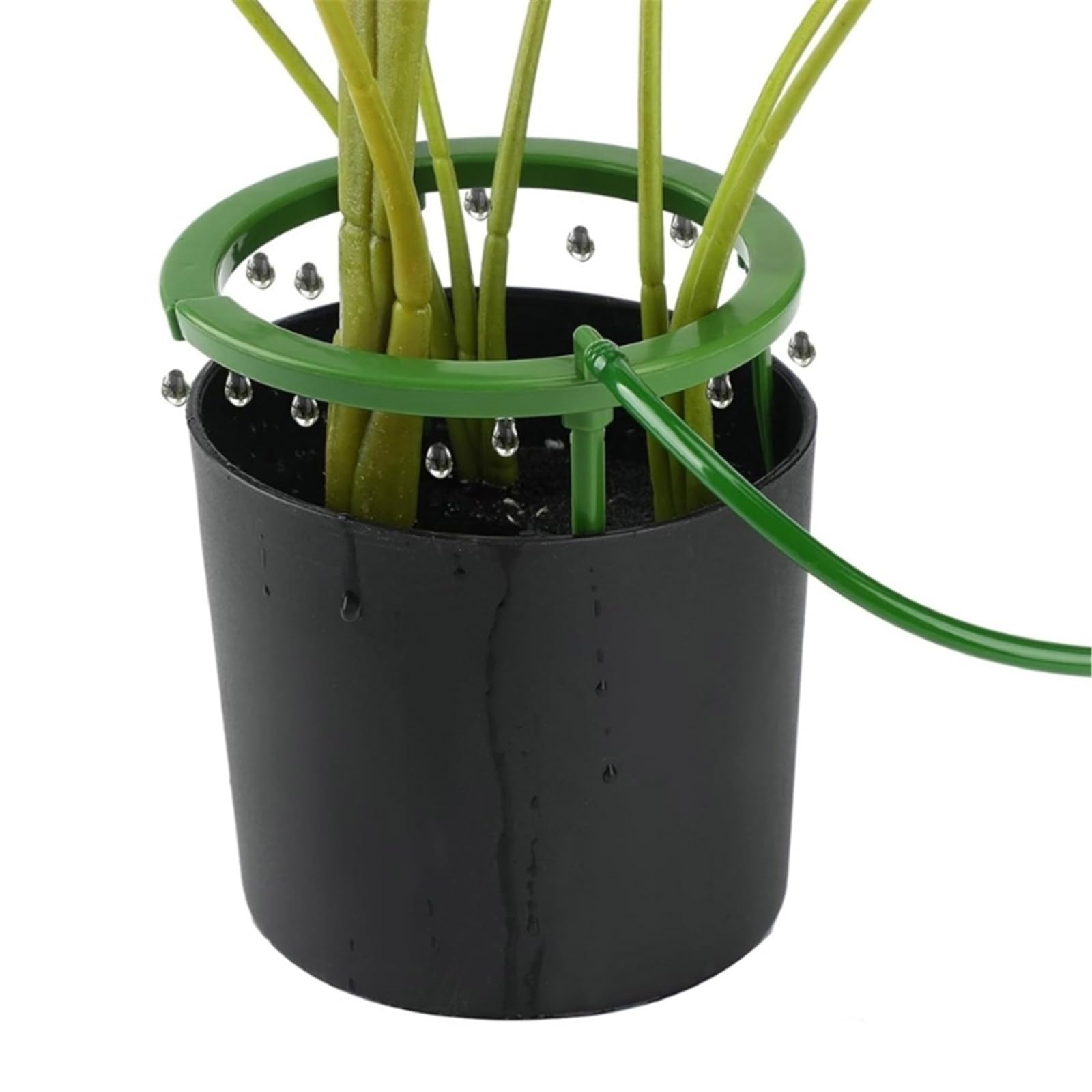 PANGBOER Guía de riego para Plantas en Maceta con Patas de Apoyo, Circuito de riego y Entrada de tubería para tareas rutinarias de Cuidado del jardín Utilice Circuito de riego de raíces Guía de Goteo