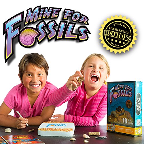 Mine for Real Fossils Science Dig Kit - Excavate 10 Genuine Prehistoric Fossils, Including Dinosaur, Shark Teeth, and More! Great STEM Learning Activity for Kids, for Girls and Boys - Thumbnail 6