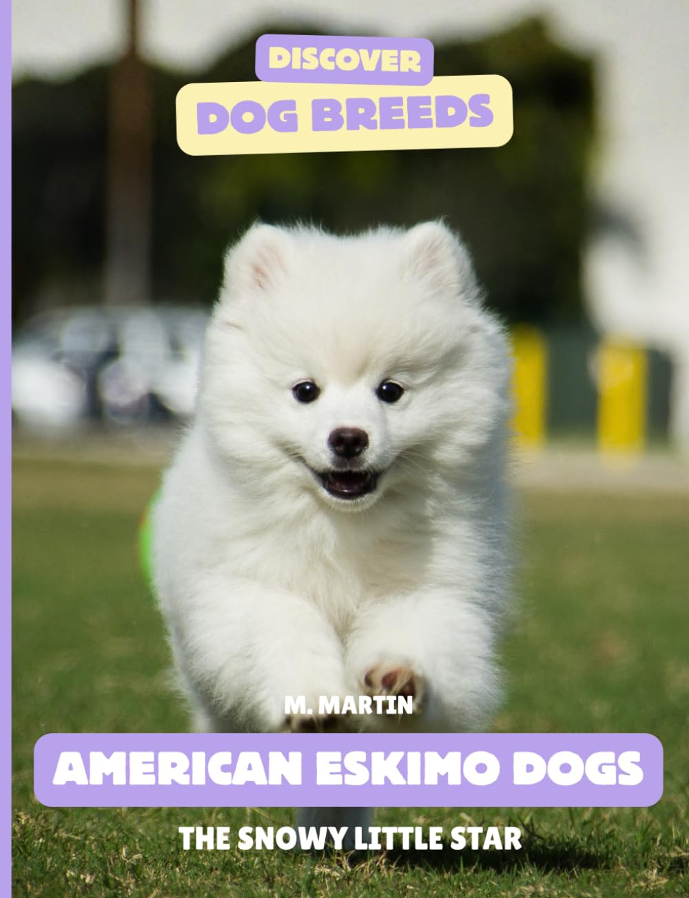 American Eskimo Dogs: The Snowy Little Star (Discover Dog Breeds)