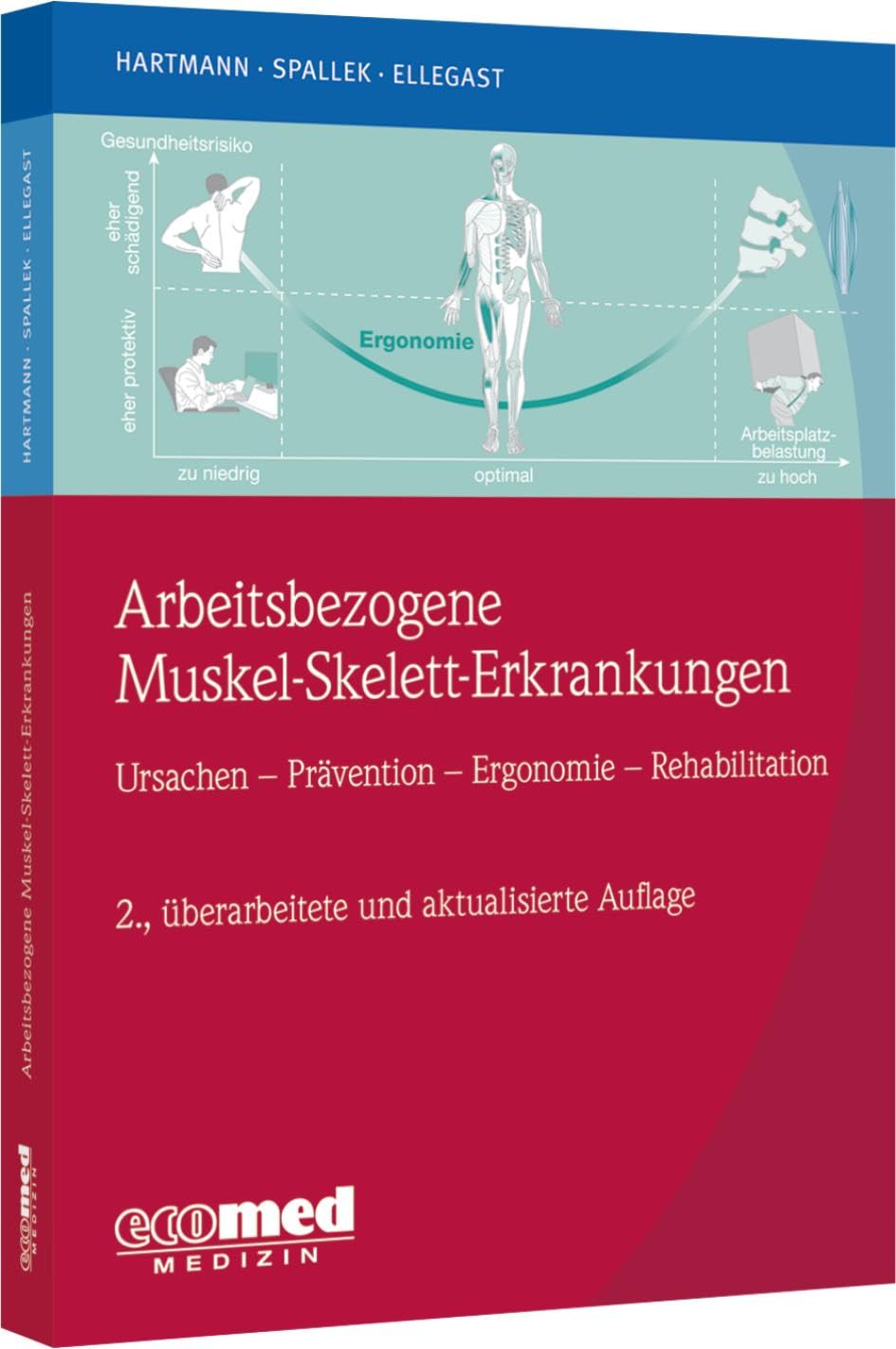 Arbeitsbezogene Muskel-Skelett-Erkrankungen: Ursachen, Prävention, Ergonomie, Rehabilitation
