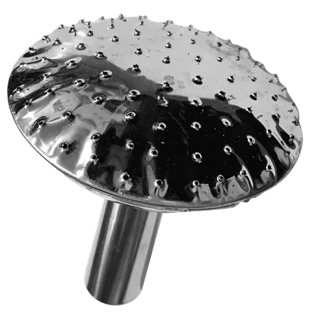 BCOATH Watering Can Nozzle Attachment Sprinkler Head for Watering Can Stainless Steel