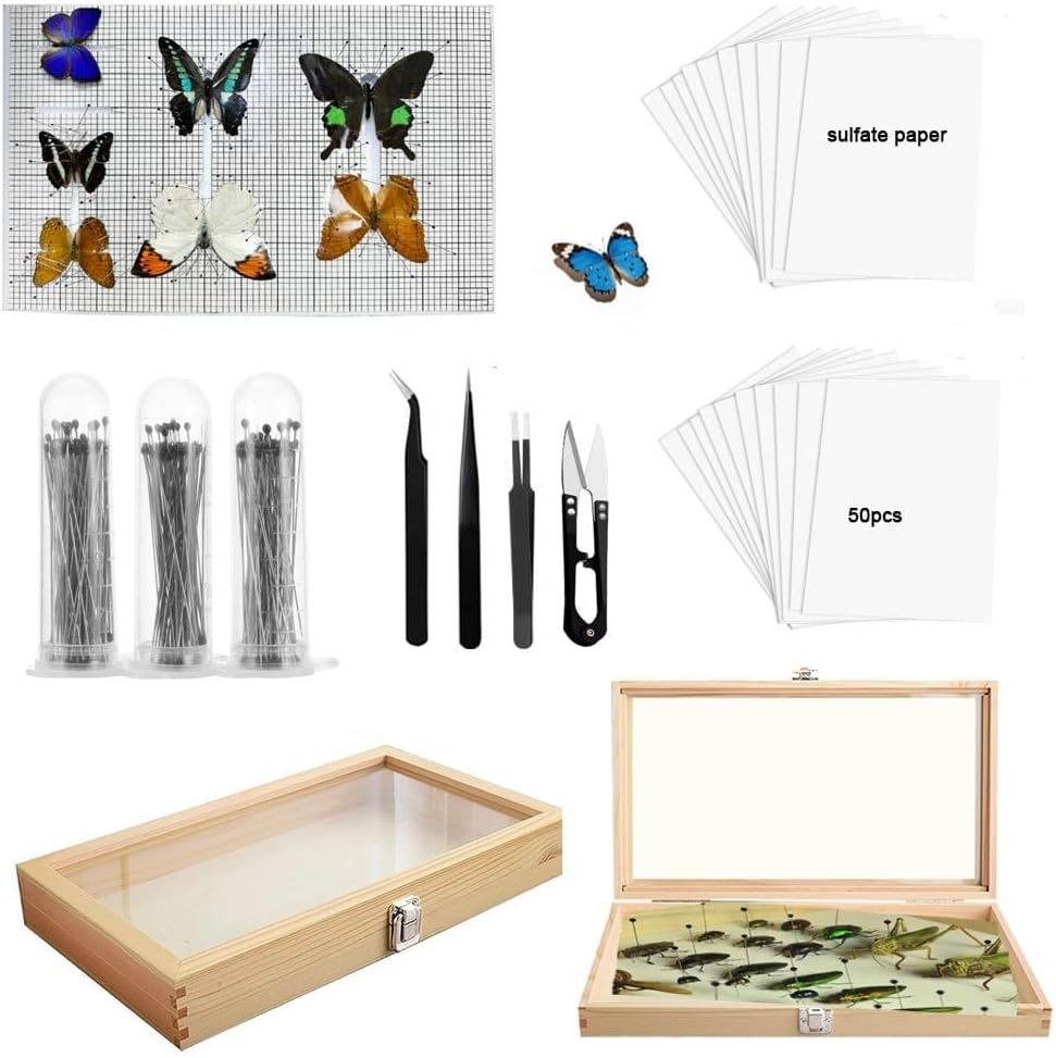 Specimen Tool Set Insect Display Collection Box Butterfly Insect Mounting Kit Entomology Collection Supplies, Specimen Pins, Multi-Functional Foam Mounting Board, Scissors, Tweezers, Tracing Paper