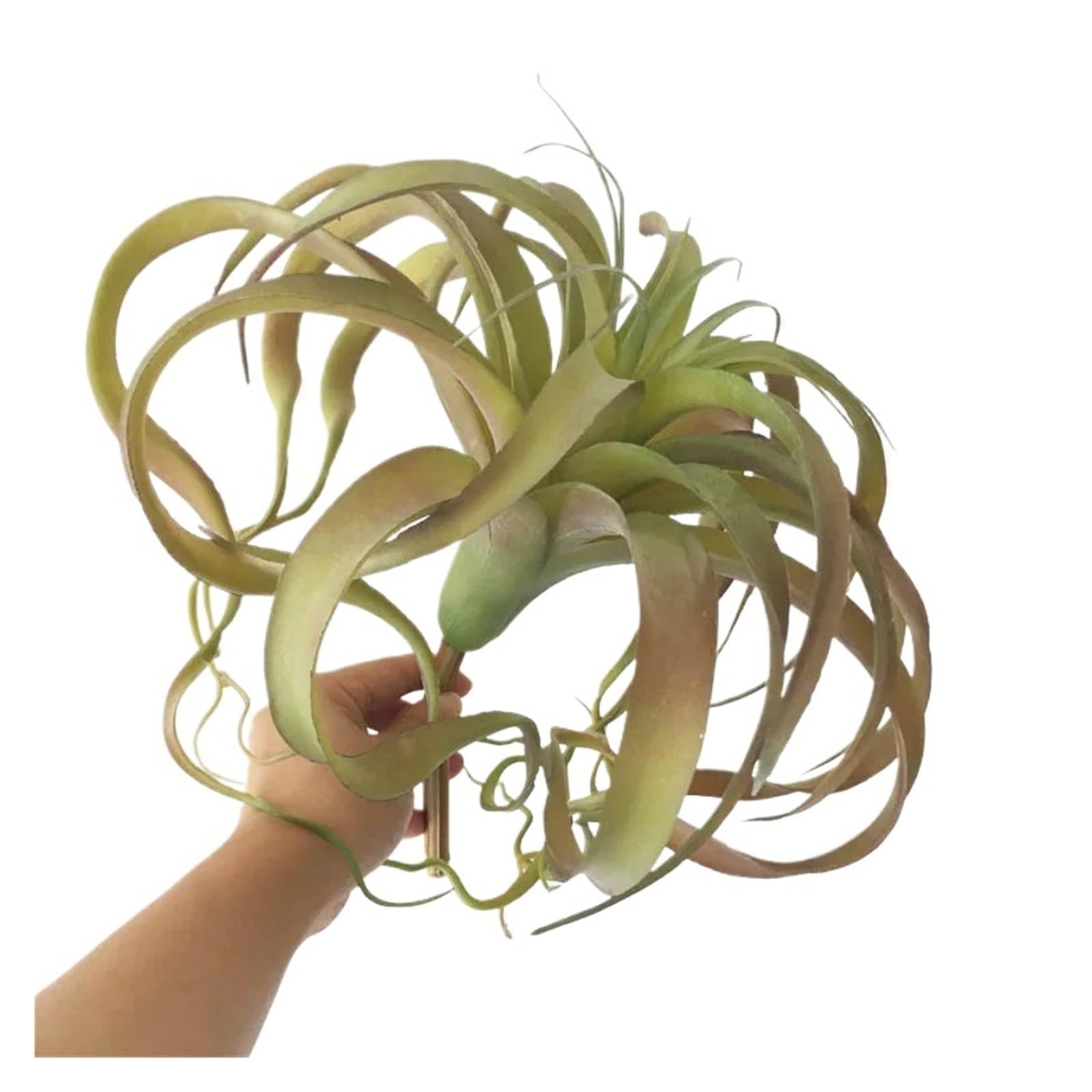 Casetlong 1PC Green Plant Artificial Flower Plastic(2)