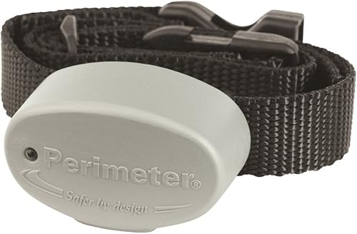 Collar de repuesto R21 compatible con valla invisible 10K - 785545