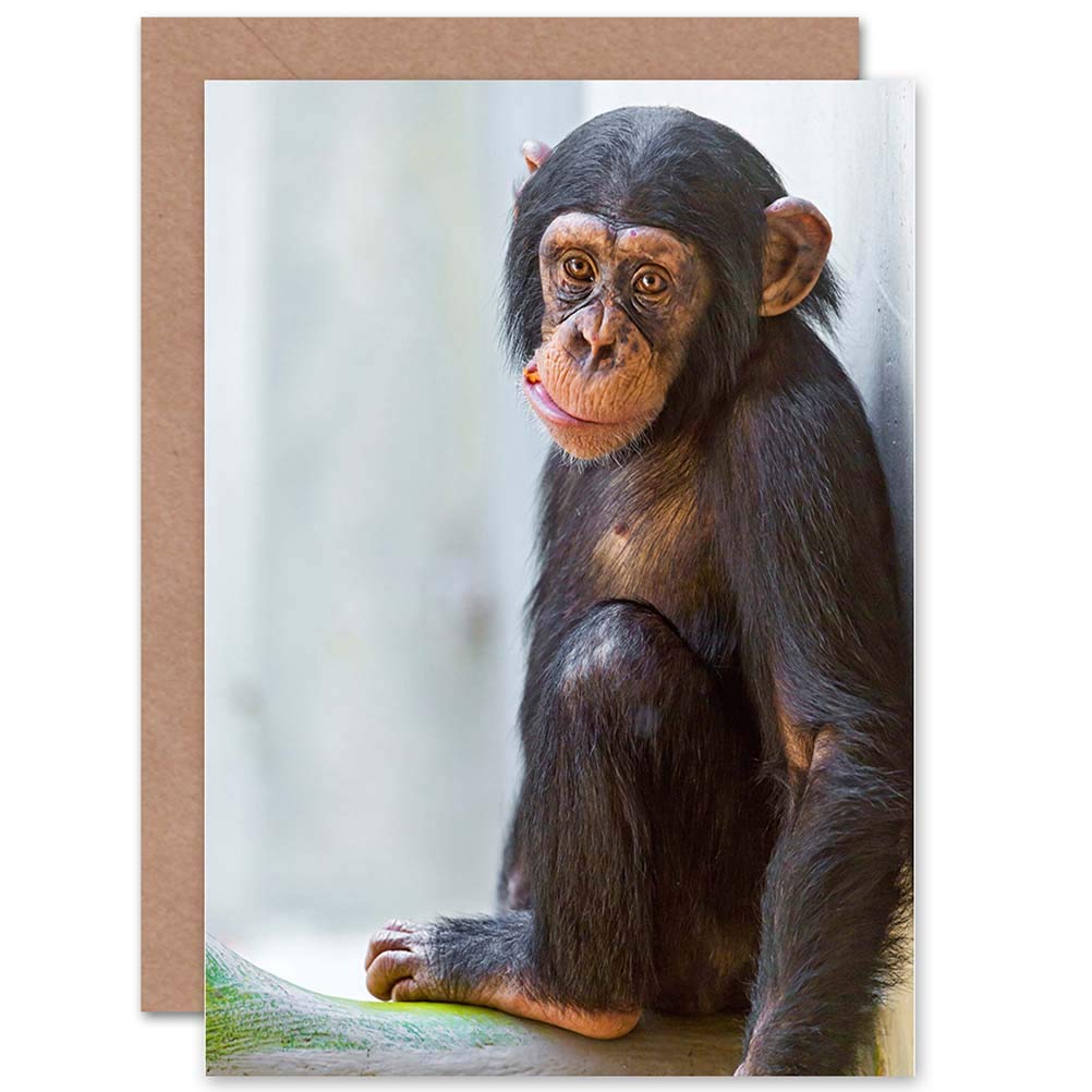 Wee Blue Coo CARD GREETING GIFT PHOTO CUTE CHIMPANZEE CHIMP BABY CHEWING CARROT