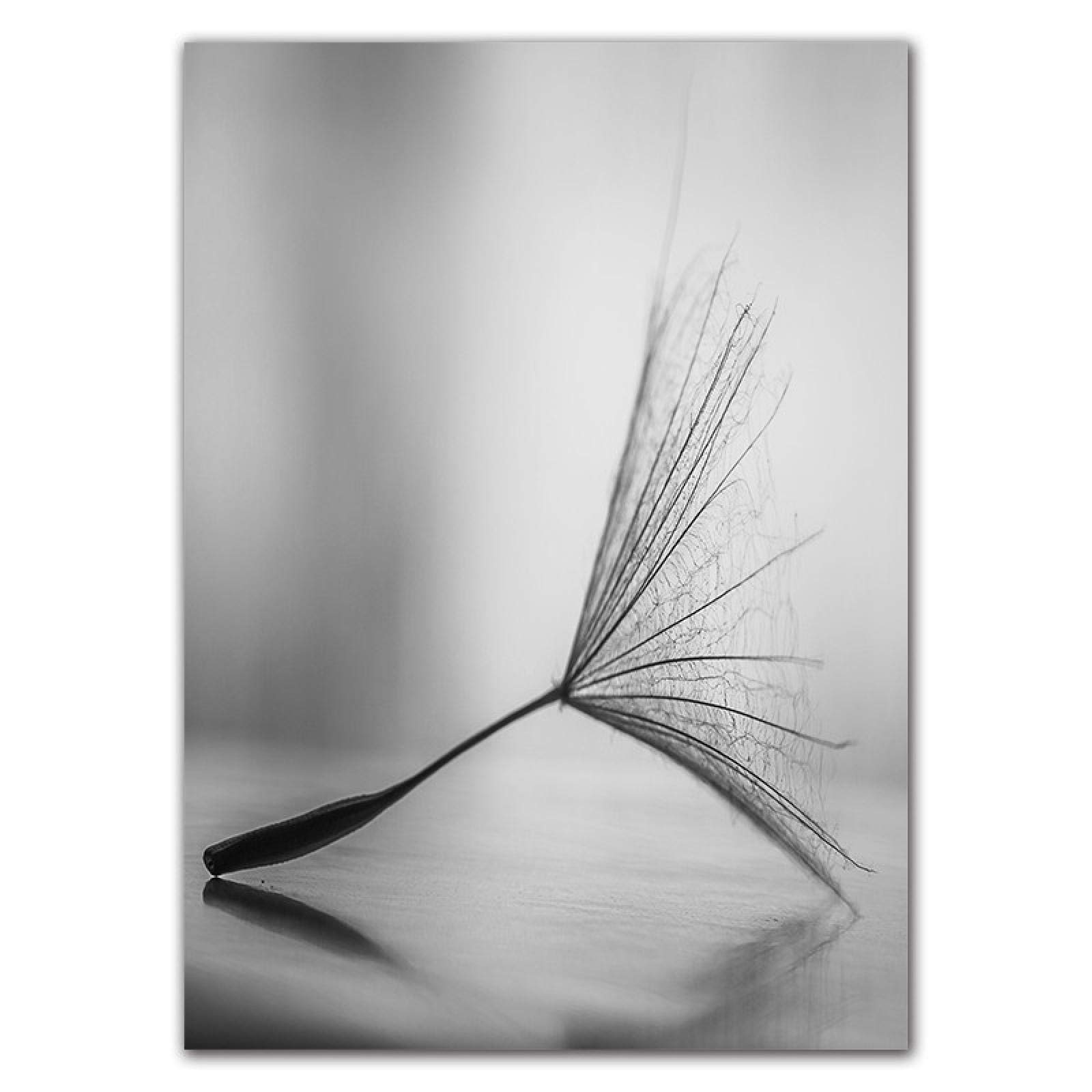 Leinwandbild Löwenzahn, 50x100 Cm – Gerahmte Wandkunst, Handgemaltes Motiv, Für Wohnzimmer Oder Schlafzimmer