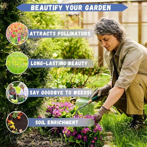 200+Mixed Primrose Primula Flower Seeds to Plant Outdoor-Perennial Primula Malacoides Seeds for Planting Non-GMO Heirloom