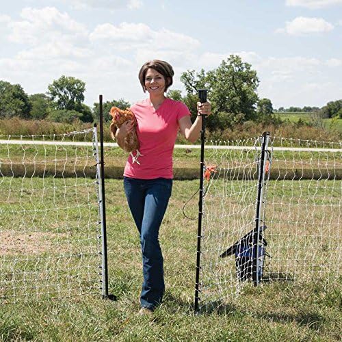 Miniatura 2 de Premier 1 PoultryNet - Puerta de red eléctrica de 48 pulgadas de alto x 4 pies de largo con postes conducibles para pollos, patos, gansos  Red negra