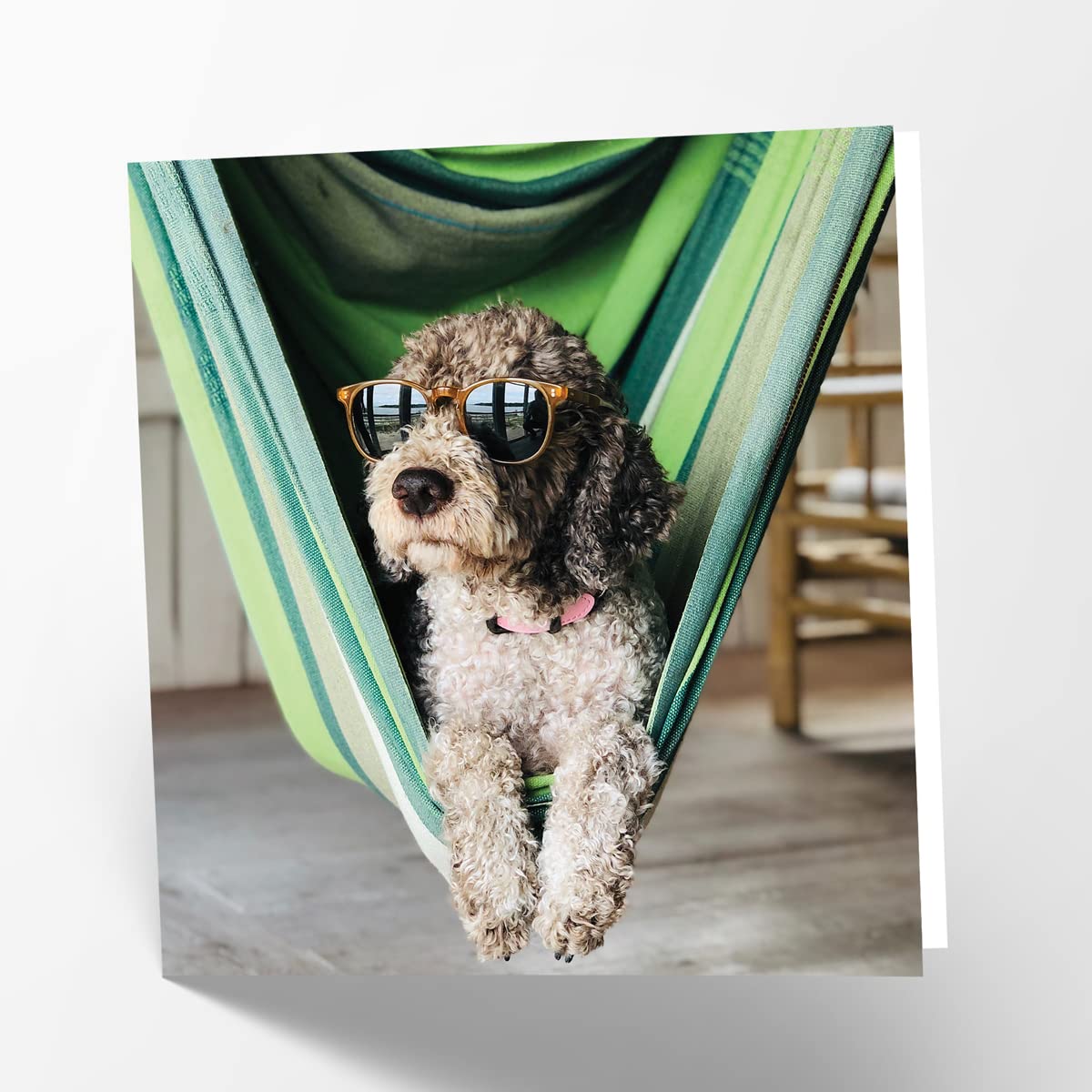 Maturi Relaxing Dog Photographic Blank Birthday Greetings Card, 15.5 x 15.5 cm