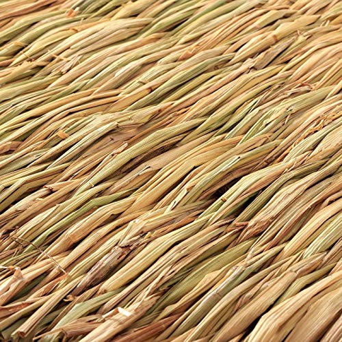 CAMITER Konijnentapijt, grasmat voor konijnen, handgeweven natuurlijk grastapijt voor kleine huisdieren, kauwspeelgoed, bed voor hamsters, varken, konijn en papegaai - 4 stuks - Image 5