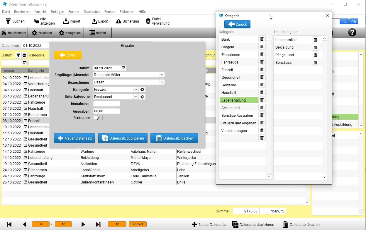 DIGeS Haushaltsbuch Software, Einnahmen- und Ausgabenverwaltung, für Windows 8/10/11, mit Import- und Exportfunktion