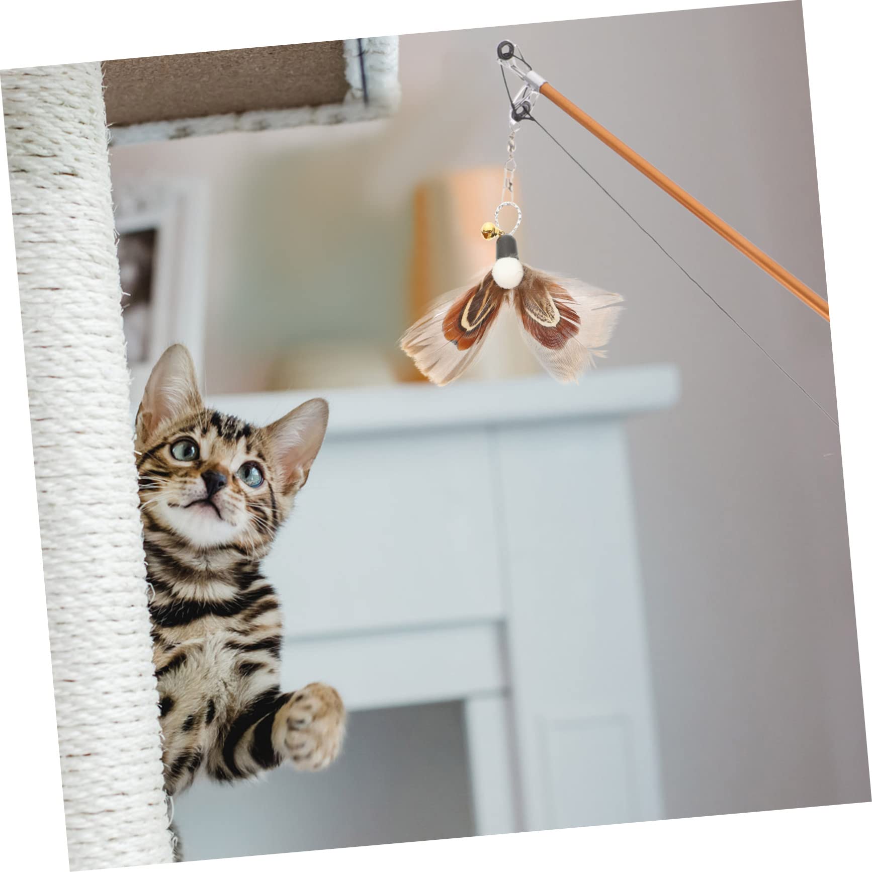 Happyyami 30 Pièces Rechange pour Chat Teaser Chat Remplacement De De pour D'intérieur