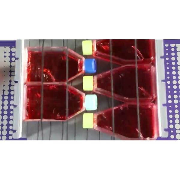 Heathrow-Scientific-Certified-Digital-Orbital-Shaker-Adjustable-Speed-20-to-300-RPM-Timed-and-Continuous-Modes-LCD-Displayed-Speed-Time-10-Pound-Weight-Capacity-11x11-Inch-Working-Platform Heathrow-Scientific-Certified-Digital-Orbital-Shaker-Adjustable-Speed-20-to-300-RPM-Timed-and-Continuous-Modes-LCD-Displayed-Speed-Time-10-Pound-Weight-Capacity-11x11-Inch-Working-Platform