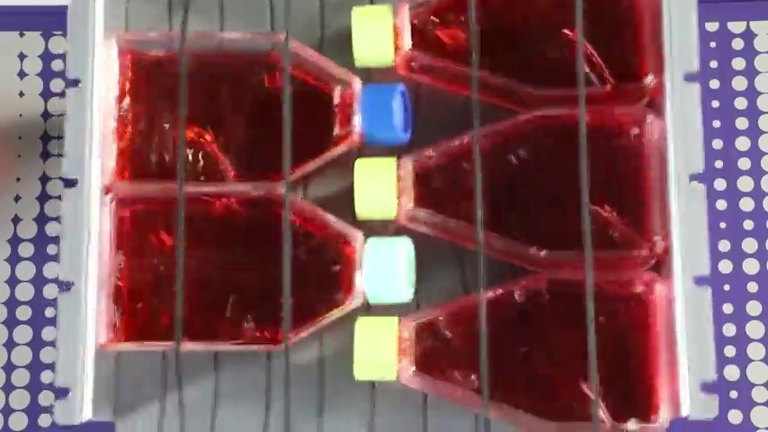 Heathrow-Scientific-Certified-Digital-Orbital-Shaker-Adjustable-Speed-20-to-300-RPM-Timed-and-Continuous-Modes-LCD-Displayed-Speed-Time-10-Pound-Weight-Capacity-11x11-Inch-Working-Platform