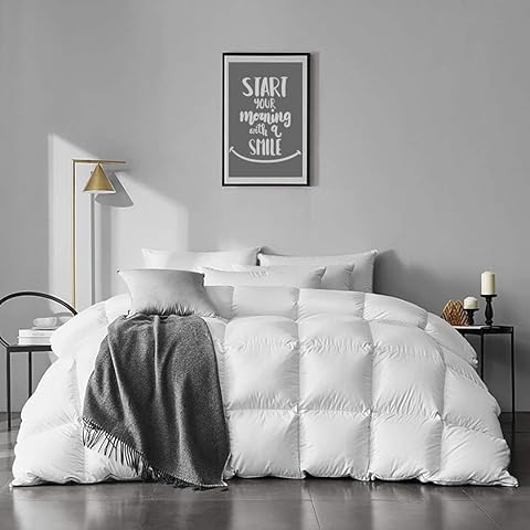 APSMILE Twin Size Feathers Down Comforter - Ultra Soft All Seasons 100% Organic Cotton Duvet Insert Medium Warm Quilted Bed Comforter with Corner Tabs (68x90,Ivory White)