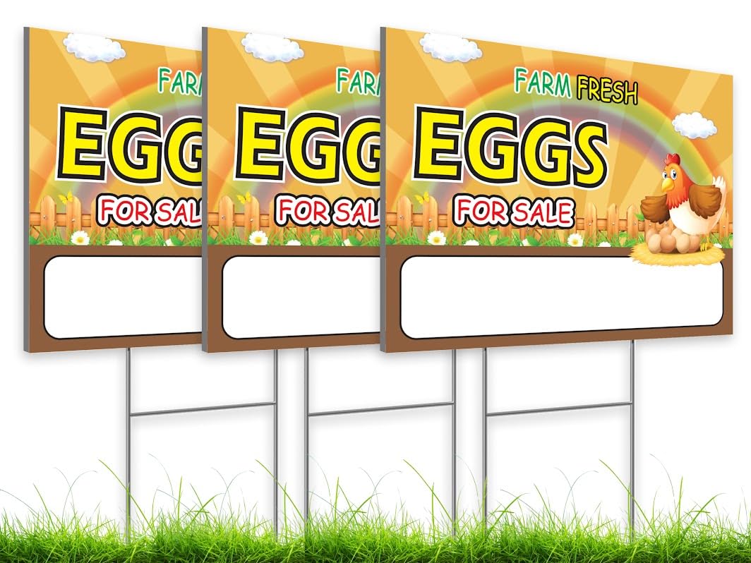 12x16 Inch Pack of 3 Double Sided Sign Coroplast Farm Fresh Eggs for Sale Sign - Funny Signs Chicken Coop Decor - Fresh Chicken Eggs For Sale Signs - Farm Fresh Eggs Sign for Outdoor and Indoor