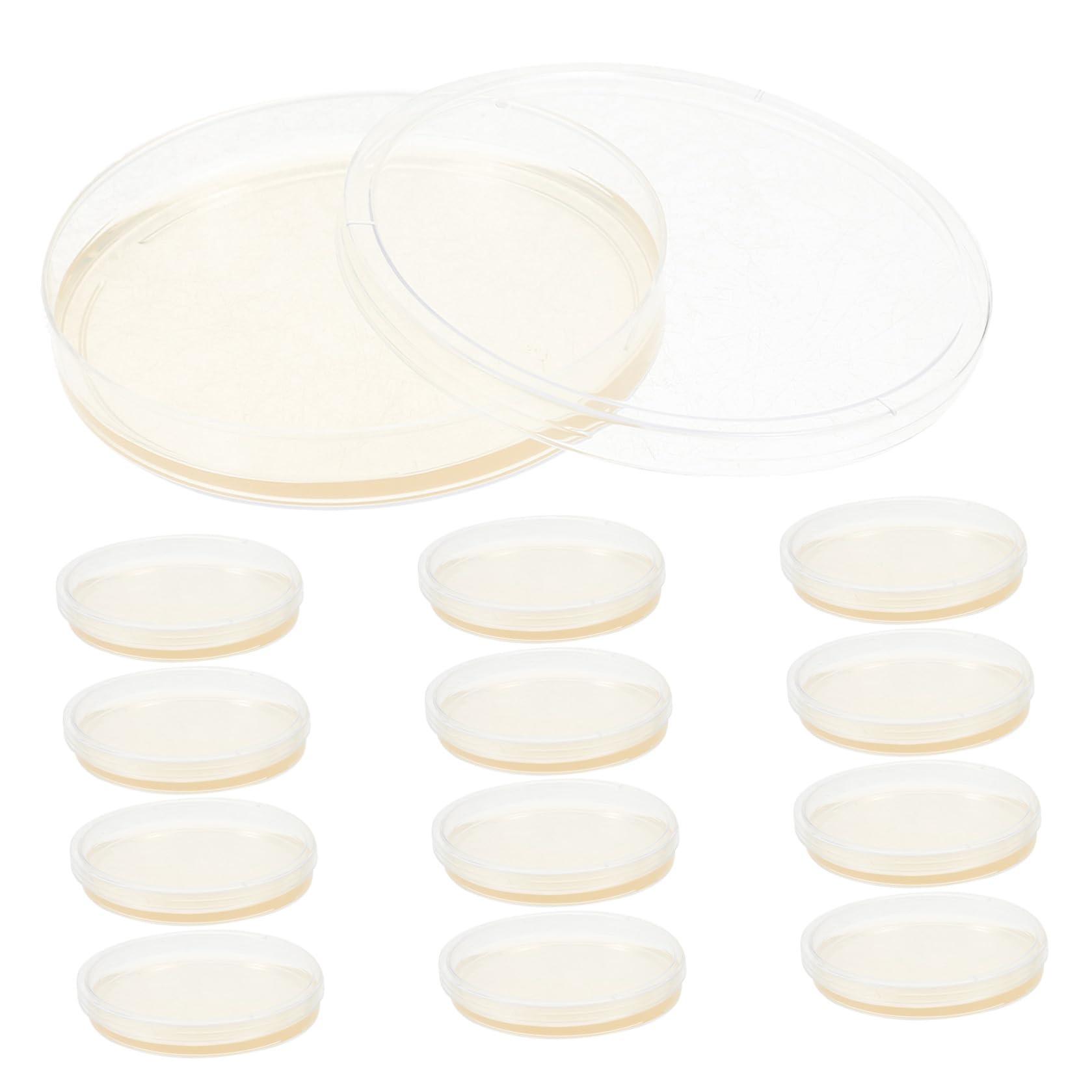 Alasum Placas de Petri de Plástico Agar Nutritivo de 9 CM, 20 Unidades Pre-Vertidas para Proyectos Científicos y Experimentos de Cultivo Microbiano