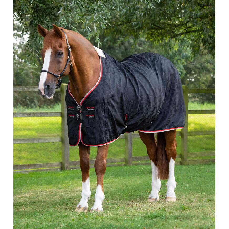 Premier Equine Manta de Exterior para Caballos Cooler Buster