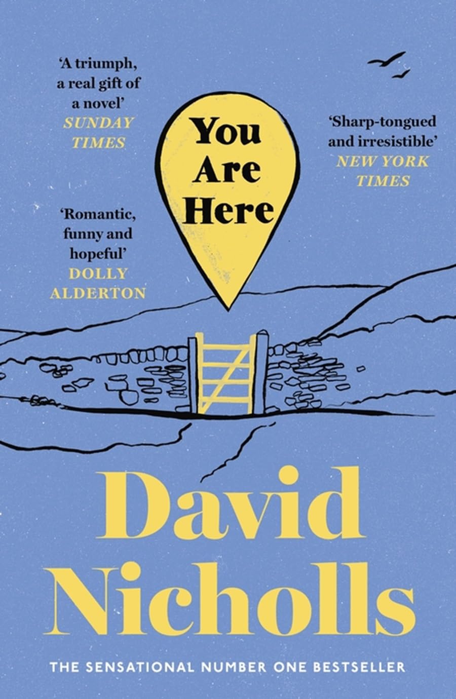 You Are Here by NICHOLLS  DAVID HARDBACK 9781444715460