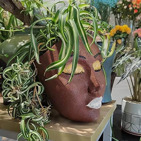 coolboy Face a Planter Pot for Indoor Outdoor Wall Flower Pot,Face Flower Pot Hanging Wall Decoration,Flower Pot Wall Decoration,Resin Flower Pot Wall Decoration,Unique Face Planter Pot Cover