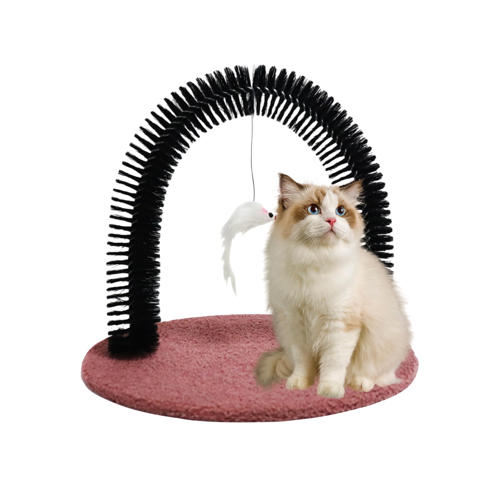 Cat Groomer, Arch Grooming Brush, 14.2x11.4x13.4inch, Shedding Massager Tool, Sturdy Bristles for Hair Removal, Self-Grooming Station, Ideal for Kittens, Cats, Rabbits, Home Use