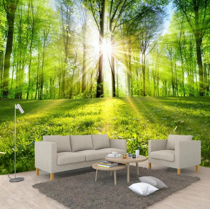 Papier peint forêt 3D pour agrandir visuellement un salon sombre