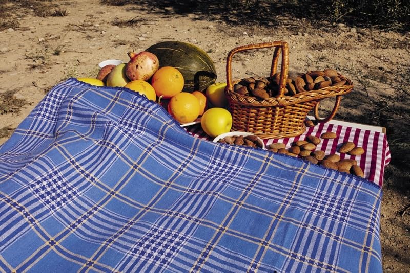 Recetas y principios de la comida vegetariana / Recipes and Principles of Vegetarian Cooking (Spanish Edition)