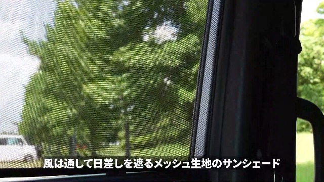 Amazon | 新型 ランドクルーザープラド 150系 後期 メッシュ