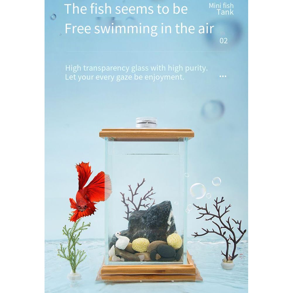 Amazon | マイクロビューボトル生態水族館、ミニ回転魚強化ギフト