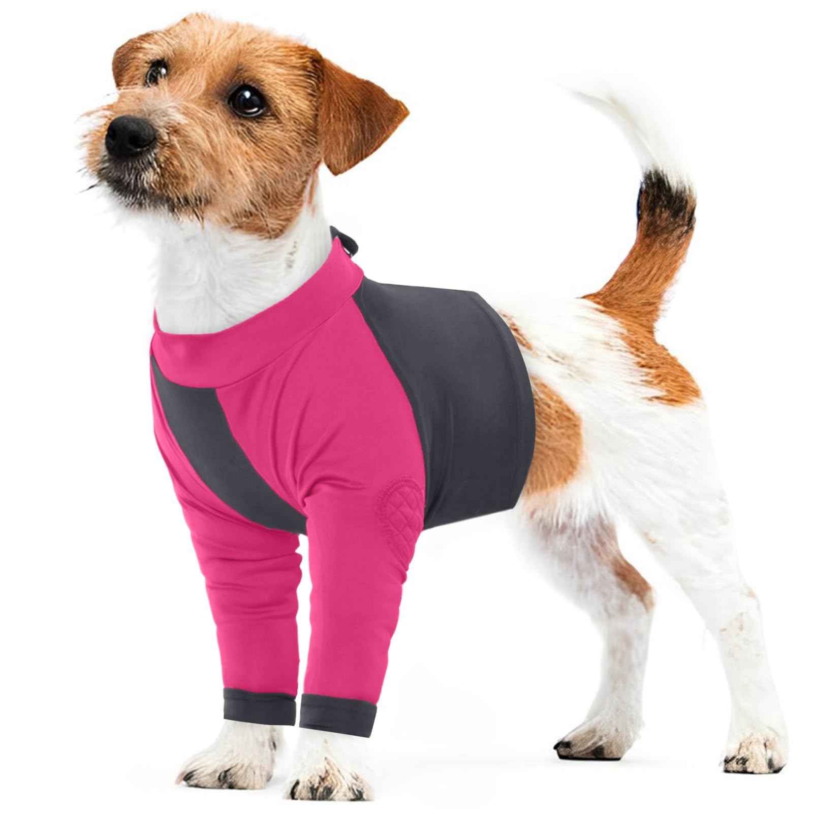 LeLePet Dog Surgery Recovery Suit, Anti-Lick Leg Wound Protector for Dogs Medical Pet Shirt