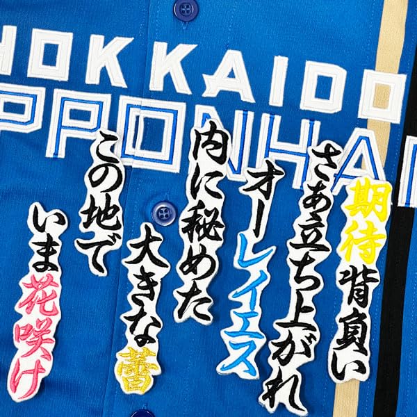 レイエス 受注販売 応援歌 ユニフォーム Lサイズ ファイターズ 新品 日本ハムファイターズ☆レイエス 完全受注販売応援歌