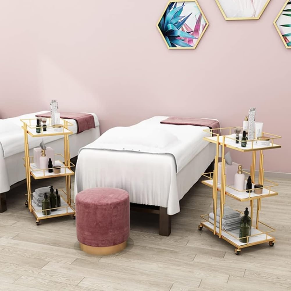Carrello Per Estetista in Metallo, Moderno Carrello Per Salone Di Bellezza in Ferro Con Ruote, Carrello Portautensili Per Estetista Con Ruote, Per Spa Resort/Barbiere,Argento