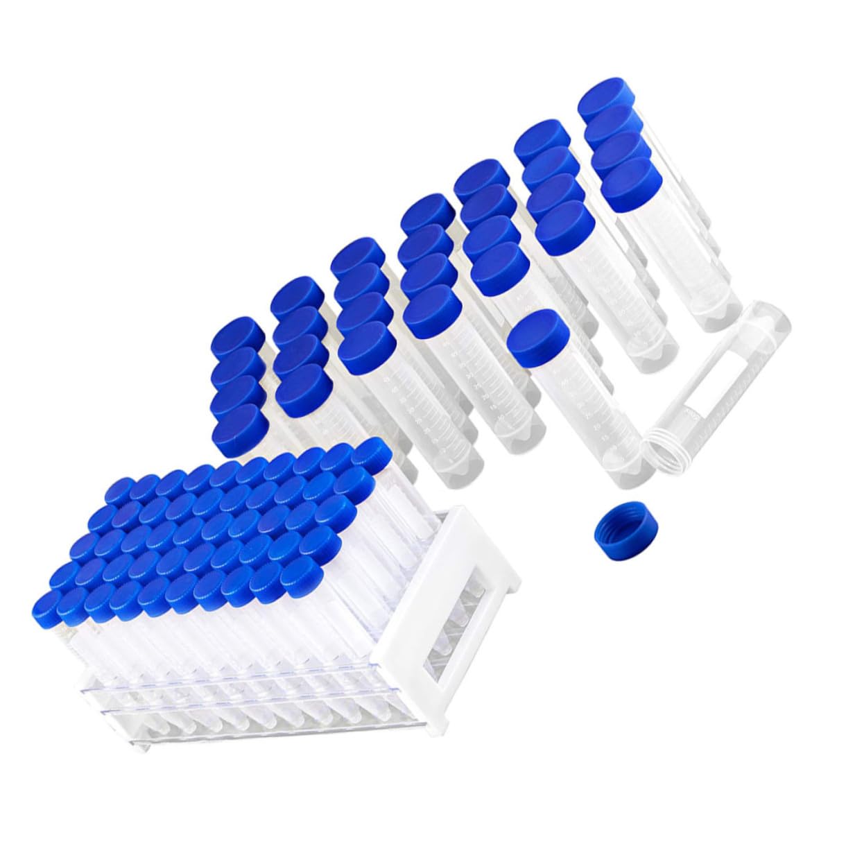 Mobestech 81pezzi Provette in Plastica Con Coperchio Per Esperimenti Scientifici Inclusi Con Portaprovette Adatte Per Laboratorio Scuola e Uso Quotidiano