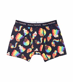 Pair of Thieves Super Soft Mens Pride Boxer Briefs Breathable Gay Pride Underwear with Moisture-Wicking Quick Dry Fabric