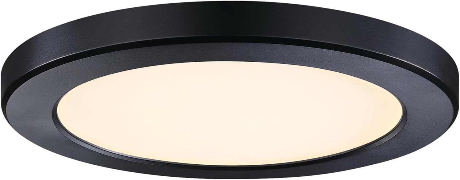 Westinghouse Lighting LED Indoor/Outdoor Flush Mount Fixture with Color Temperature Selection-Black