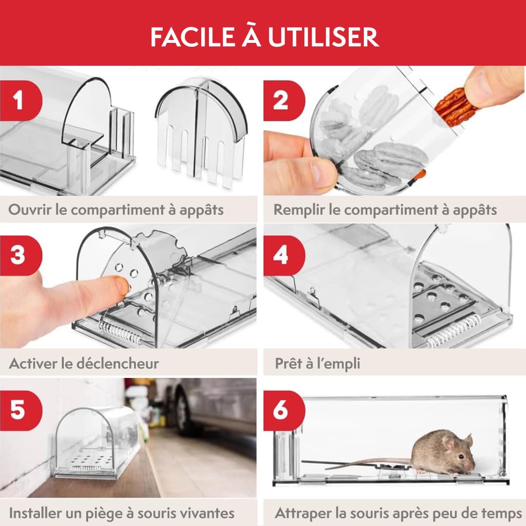 PATTLER® Piège à Souris Vivante Extra Grand - Cage de Capture sans Tuer pour Souris, Rats et Rongeurs - Nasse Réutilisable avec Trous d'Aération - Intérieur & Extérieur - X1 Transparent