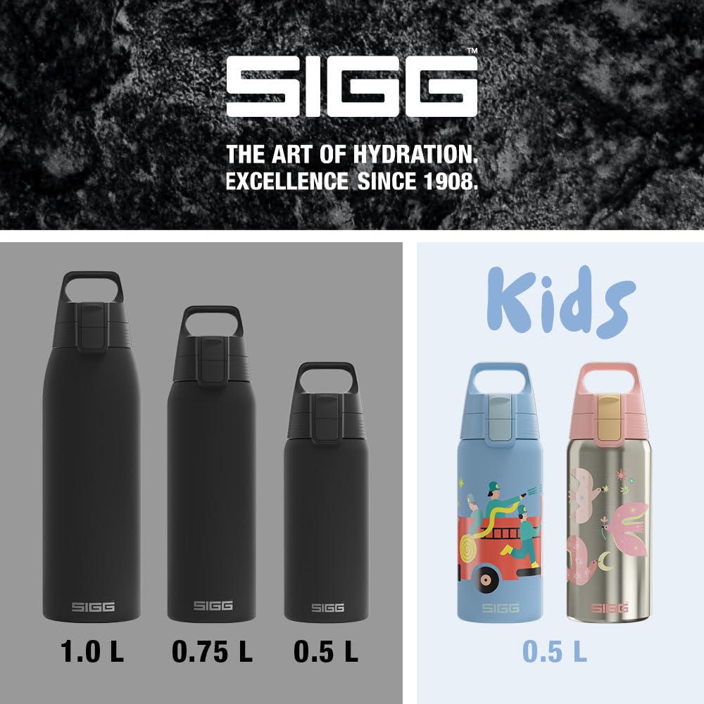 Amazon.com: Sigg - Stainless Steel Insulated Water Bottle - Shield