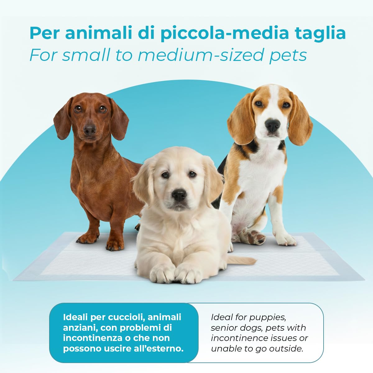 PipiPpo - 200 alfombrillas desechables para perros, superabsorbentes, 60 x 60 cm, con 5 capas a prueba de fugas y con polímeros extrassorbentes