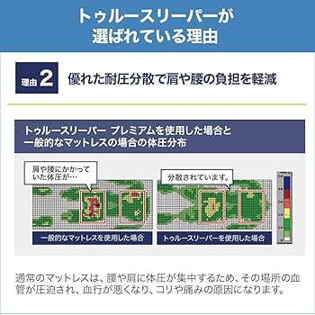 Amazon|【公式】【マルチピローセット】トゥルースリーパー ライト3.5 Amazon|【公式】【マルチピローセット】トゥルースリーパー ライト3.5