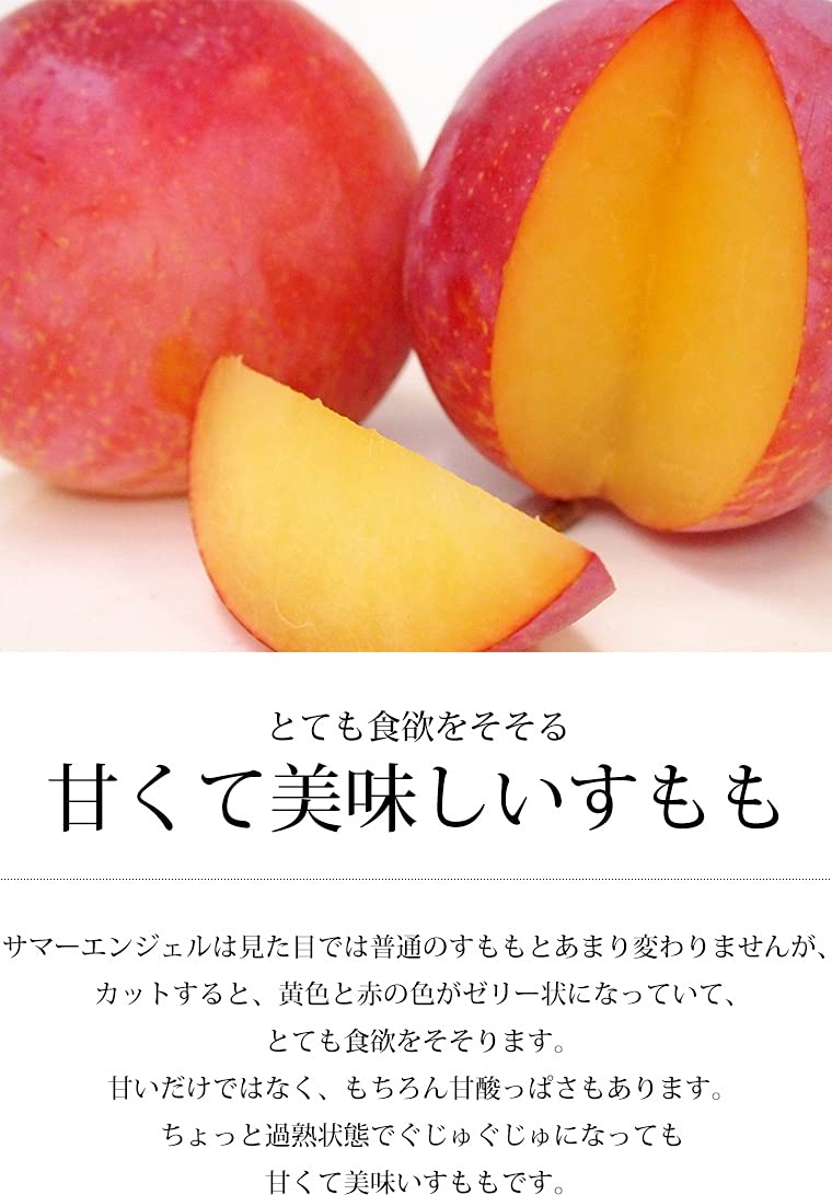 Amazon.co.jp: プラム サマーエンジェル 秀品 約1.5kg 10～13玉 JA