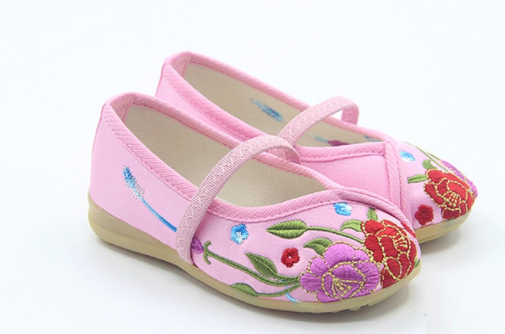Tianrui Crown Children Girl's Flower Embroidery Loafer Shoes Kid's Cute Flat Dance Shoe Pink