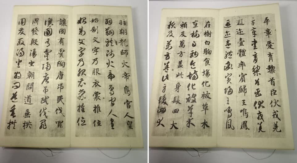 Amazon.co.jp: 王羲之 拓本 複製 大正元年 真草千字文 小林写真製版所