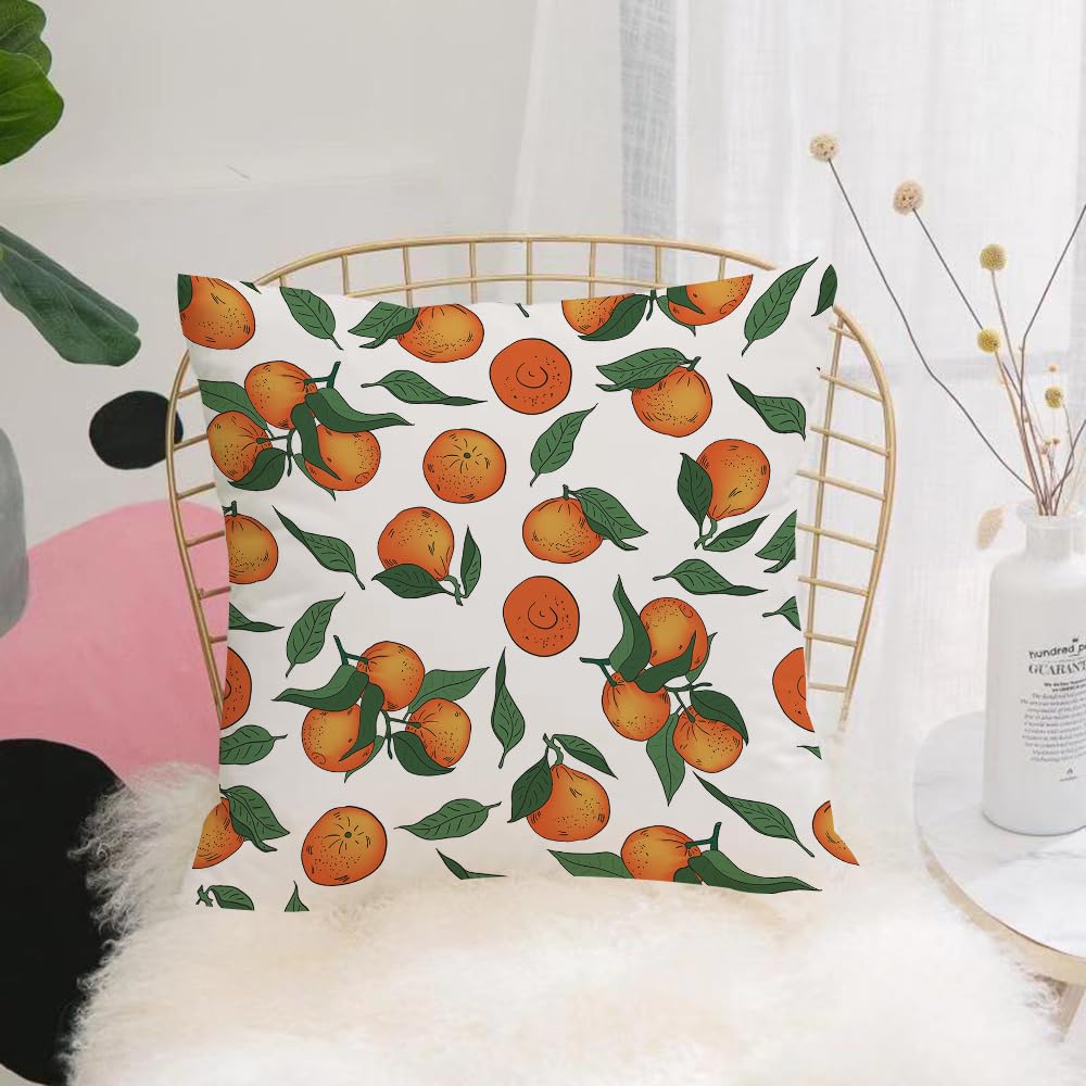 HYMSXW Cushion Cover,Throw Pillow Case Home Decorative for Living Room Bedroom Sofa Chair 20X20 Inch,Hand drawn Mandarins clementines citrus.,Pillowcase 50X50cm