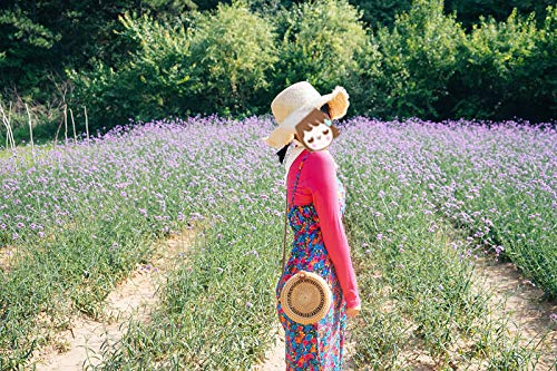 Handmade Rattan Woven Bag Round Retro Crossbody Bags Classic Shoulder Bag Ladies and Girls Party Handbags Wallets 6