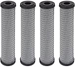 Pentek C1 Carbon Filter Cartridge, 9-3/4 x 2-1/2, 5 Micron (4, 1 Pack)