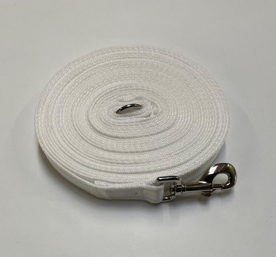 20ft Dog Training Lead 6 Metre Leash Horse Lunge Line Tracking Recall Obedience In Cushion Webbing (White, 25mm)