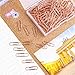 Rose Gold Paper Clips 200 pcs Smooth Finish Steel Wire Paperclips 1.1 inche / 28mm Medium Size for Document Organizing and Classifying Office Supplies