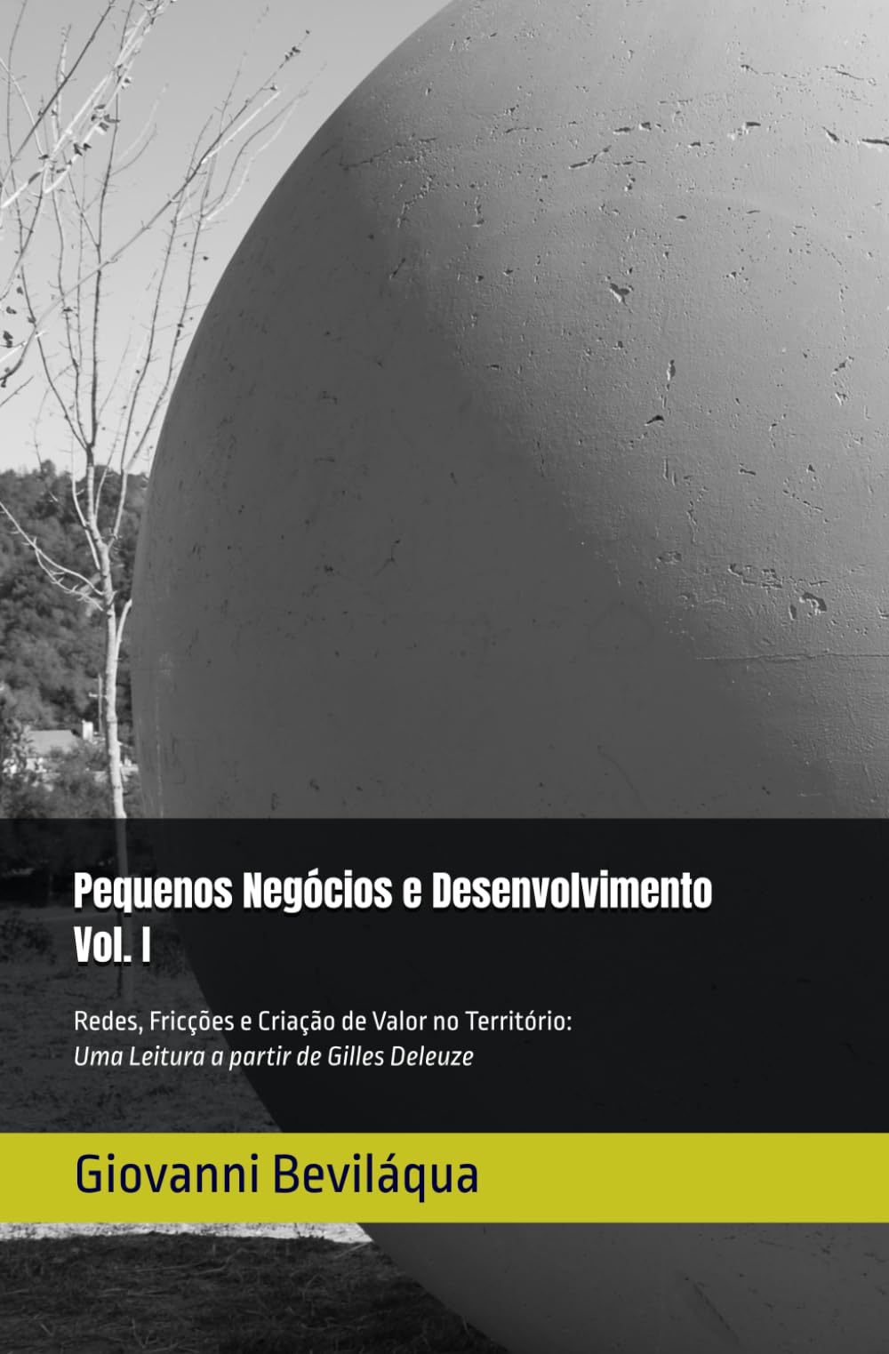 Pequenos Negócios e Desenvolvimento - Vol. I: Redes, Fricções e Criação de Valor no Território: Uma Leitura a partir de Gilles Deleuze (Pequenos Negócios e Desenvolvimento Social e Econômico)