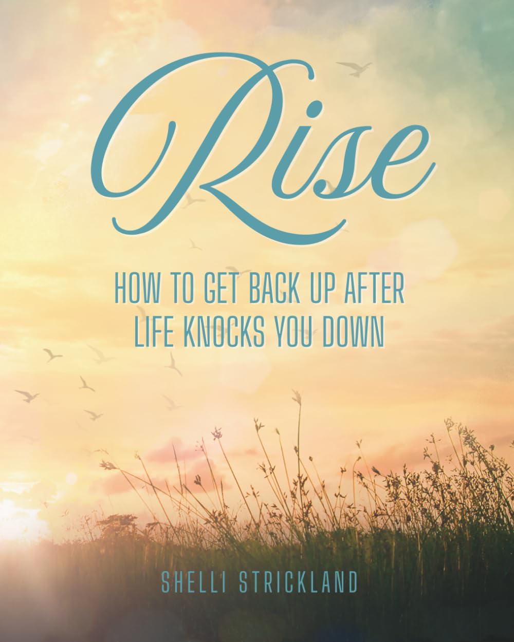 Rise: How To Get Back Up After Life Knocks You Down